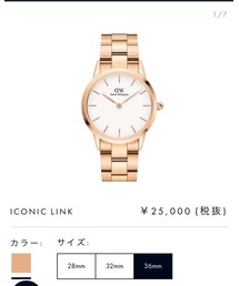 Daniel Wellington | (アナログ腕時計)