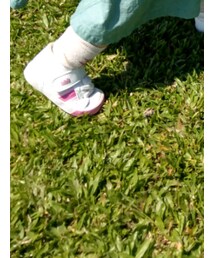 Dollydodowoo | ソックス/靴下