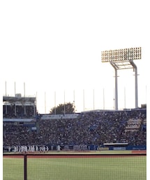 早慶戦 | その他