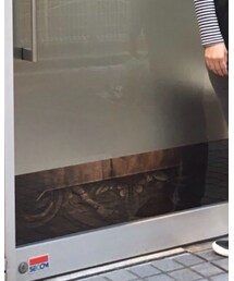 niko and... | その他パンツ