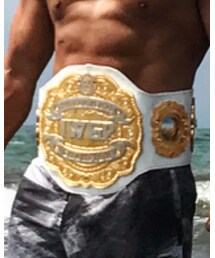 IWGP ICベルト | その他