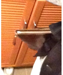 Zeha | クラッチバッグ