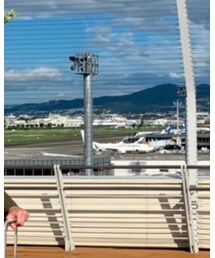 伊丹空港 | その他