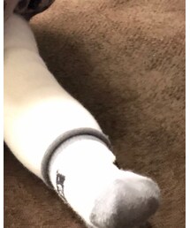 西松屋 | その他ベビー用品