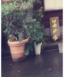 LOWRYS FARM | パンツ