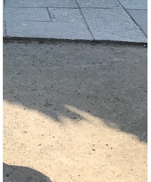 Adadias | スニーカー