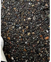 Rick Owens | スニーカー