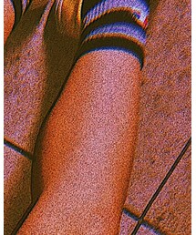 Champion | ソックス/靴下