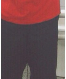 Dickies | その他パンツ