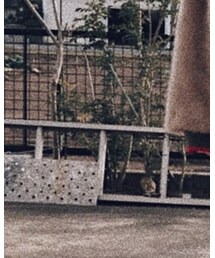 JUEMI | トップス