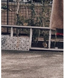 JUEMI | その他パンツ