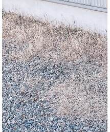 ZARA | デニムパンツ