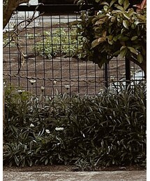 JUEMI | Tシャツ/カットソー