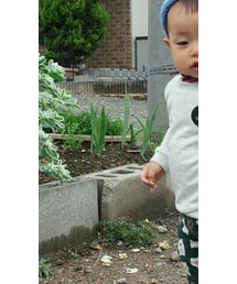 no brand | トップス