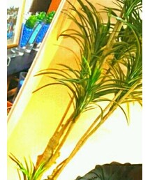 99QuQu | ミリタリージャケット