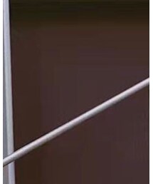 Champion | ソックス/靴下