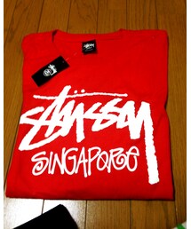 STUSSY | Tシャツ/カットソー