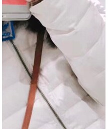 三叶草 | その他トップス