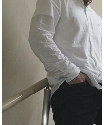 TOMMY HILFIGER | シャツ/ブラウス