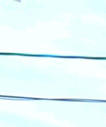 BEAMS | キャップ