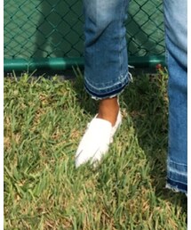 STEVE MADDEN | スニーカー