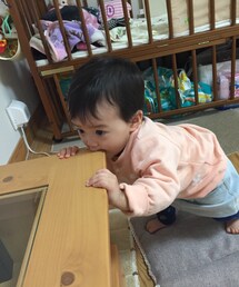 no brand | さくらちゃん(その他)