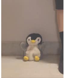 Penguin | その他