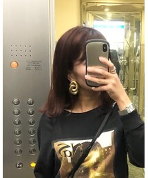 ZARA | イヤリング