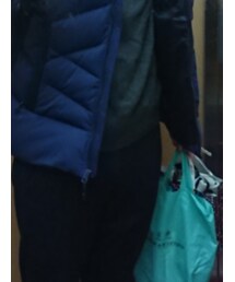 northface | ダウンジャケット/コート