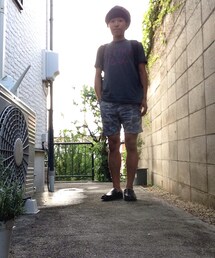 全体像(その他)