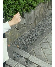 ローリーズファーム | トップス