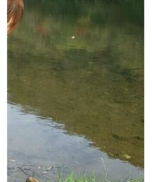 GU | ニット/セーター