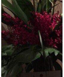 上環-五樓廚房 | その他