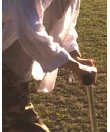 しまむら | シャツ/ブラウス