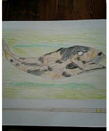 お魚コンテスト🐟その1 | その他