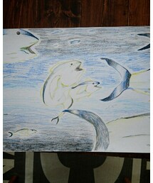 お魚コンテスト🐟その2 | その他