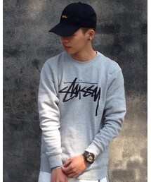 STUSSY | Tシャツ/カットソー
