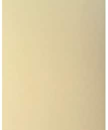 POLO RALPH LAUREN | シャツ/ブラウス