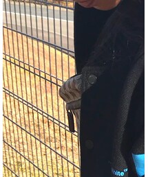 GUCCI | ボディバッグ/ウエストポーチ