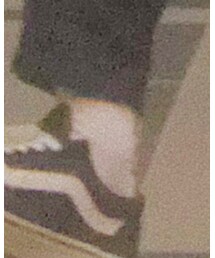 WEGO | ソックス/靴下