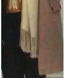 澳洲 | マフラー