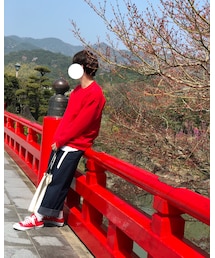 橋と同化 | その他