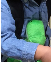 POLO RALPH LAUREN | シャツ/ブラウス