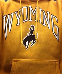 Champion | CHAMPION REVERSE WEAVE PARKA（WYOMING）(パーカー)