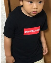 DC SHOES | (Tシャツ/カットソー)