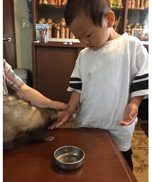 📷ウナギ❤️ | 『ウナちゃんにあげる〜』ドライマンゴー餌たべさす✌️(その他)