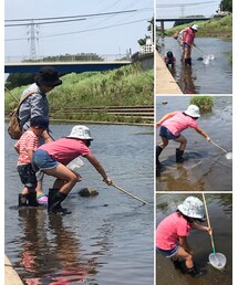 📷川の生き物とり🕸 | お姉かなり必死に頑張る😅バァバ写ってます😝（笑）(その他)