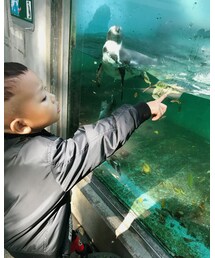 📷ペンギンだ🐧 | ペンギンに大喜び🙌💓(ペットウェア)