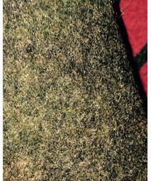 off white | ニット/セーター