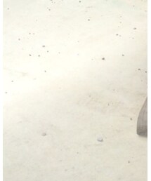 佐野厄除け大師 | その他